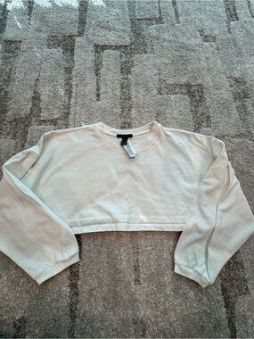 Cropped Long Sleeve Top